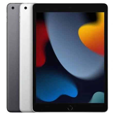 iPad 9th Wi-Fi Usato